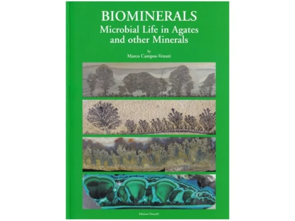 Biominerals: Microbial life in Agates and other Minerals