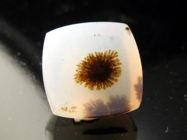 Montana Agate 3,94 ct