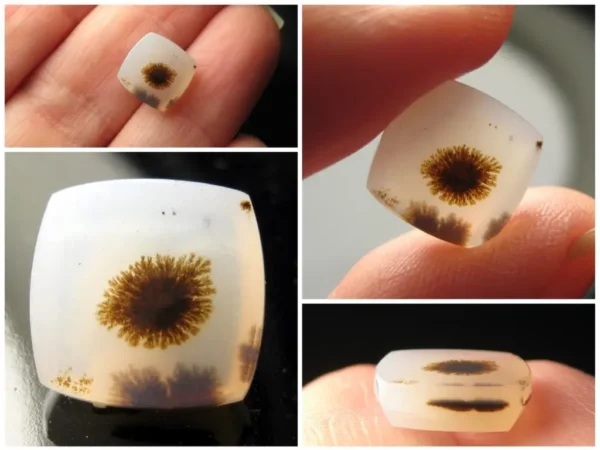 Montana Agate 3,94 ct - Image 2