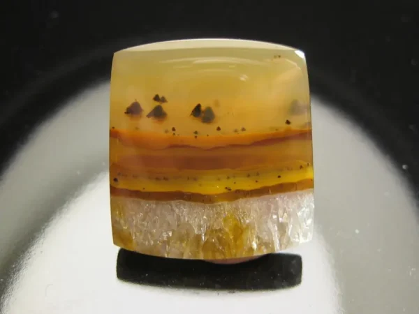 Piranha Agate 28,67 ct