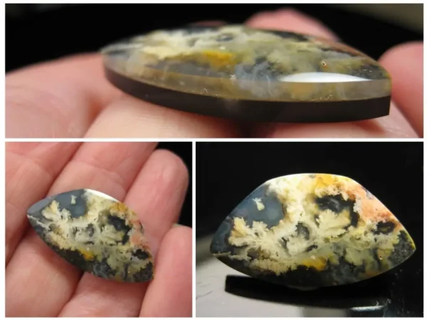 Feather Ridge Agate 23,5 ct - Image 2