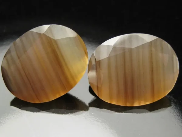 Opalized wood 6,00 ct