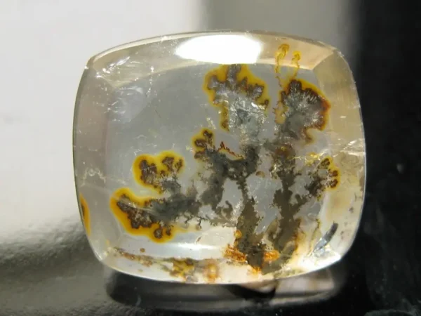 Dendritic Quartz 7,88 ct