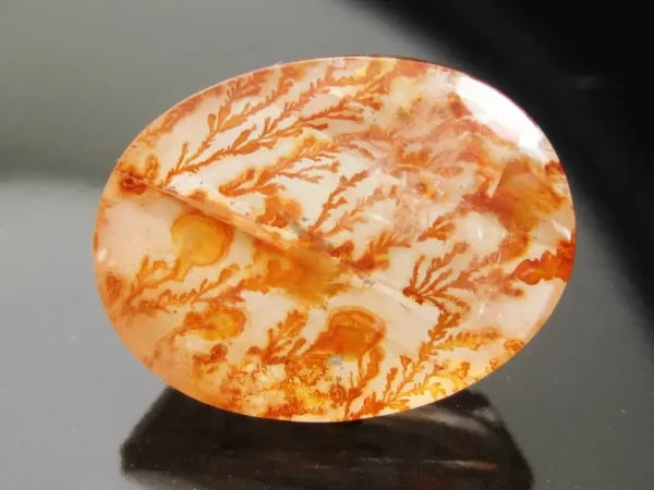 Dendritic Quartz 17,63 ct