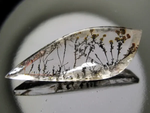 Dendritic Quartz 20,80 ct