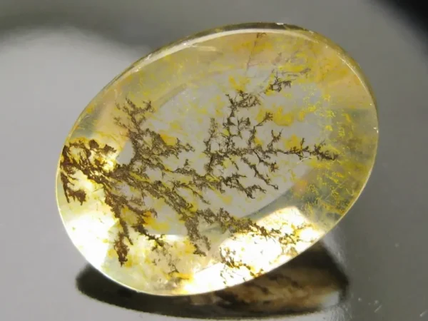 Dendritic Quartz 11,54 ct