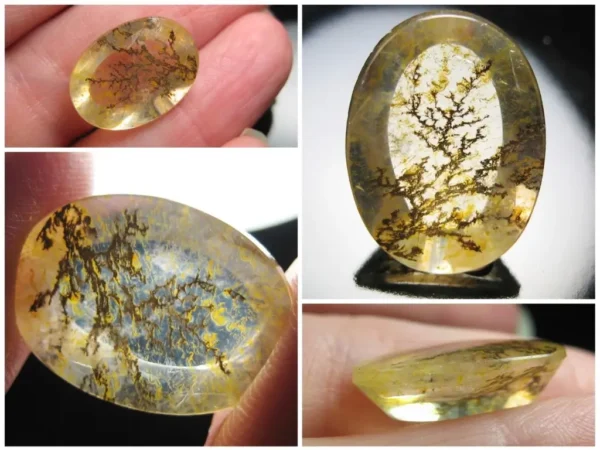 Dendritic Quartz 11,54 ct - Image 2